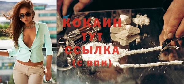 дживик Пересвет